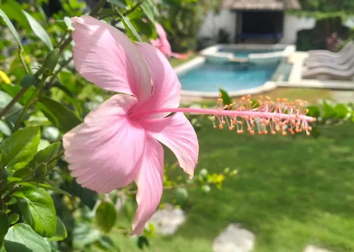 Hill Dance Bali American Guest house Jimbaran (Bali)